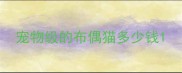宠物级的布偶猫多少钱