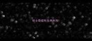 哈士奇能吃生肉末吗