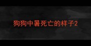 狗狗中暑死亡的样子