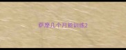 萨摩几个月能训练