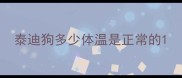 泰迪狗多少体温是正常的