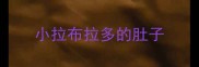 小拉布拉多的肚子