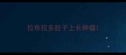 拉布拉多肚子上长肿瘤