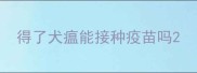 得了犬瘟能接种疫苗吗