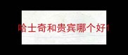 哈士奇和贵宾哪个好