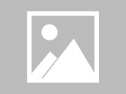 狗狗来月经多长时间母犬生理期全及护理指南附时间表症状注意事项