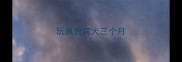 玩具贵宾犬三个月