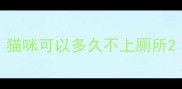 猫咪可以多久不上厕所