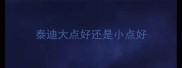 泰迪大点好还是小点好