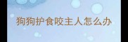 狗狗护食咬主人怎么办