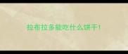 拉布拉多能吃什么饼干