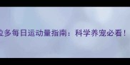拉布拉多每日运动量指南科学养宠必看