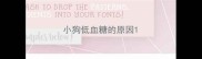 小狗低血糖的原因