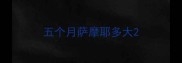 五个月萨摩耶多大