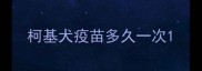 柯基犬疫苗多久一次