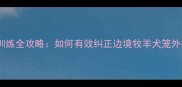 边牧排泄训练全攻略如何有效纠正边境牧羊犬笼外排便问题