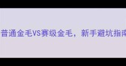 金毛犬选购全攻略普通金毛VS赛级金毛新手避坑指南附训练养护要点
