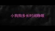小狗狗多长时间睁眼