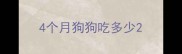 4个月狗狗吃多少