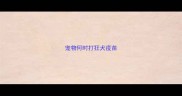 宠物何时打狂犬疫苗