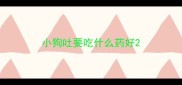 小狗吐要吃什么药好