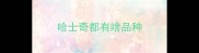 哈士奇都有啥品种