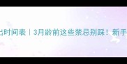 边牧幼犬外出时间表3月龄前这些禁忌别踩新手家长必看
