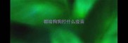 都给狗狗打什么疫苗