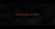 拉布拉多狗什么不能吃