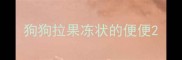 狗狗拉果冻状的便便
