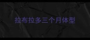拉布拉多三个月体型