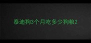 泰迪狗3个月吃多少狗粮