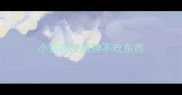 小狗狗没精神不吃东西