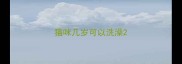 猫咪几岁可以洗澡