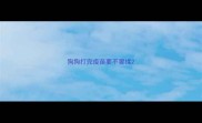 狗狗打完疫苗要不要揉