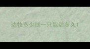 边牧多少钱一只能活多久