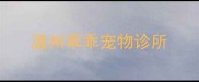 温州乖乖宠物诊所
