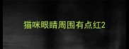 猫咪眼睛周围有点红