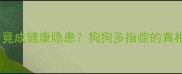 后爪多指甲竟成健康隐患狗狗多指症的真相与自救指南