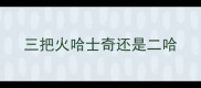 三把火哈士奇还是二哈