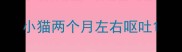 小猫两个月左右呕吐