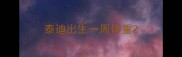 泰迪出生一周体重
