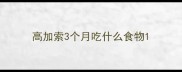 高加索3个月吃什么食物