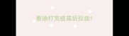 泰迪打完疫苗后拉血