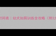狗狗憋尿憋屎时间表幼犬如厕训练全攻略附3大黄金训练法