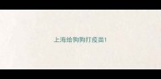 上海给狗狗打疫苗