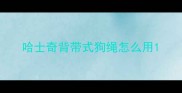哈士奇背带式狗绳怎么用