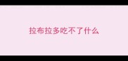 拉布拉多吃不了什么