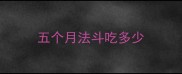五个月法斗吃多少