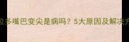 拉布拉多嘴巴变尖是病吗5大原因及解决方法全